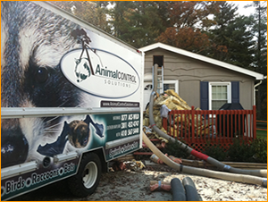 removals rayleigh
