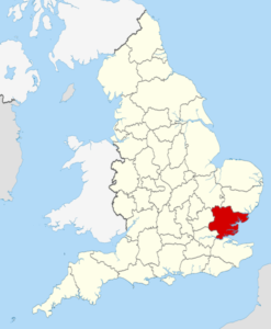 removals company essex