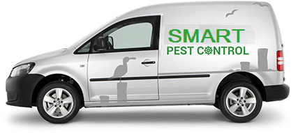 pest control Hornchurch