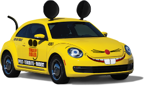 Viluna Pest Control